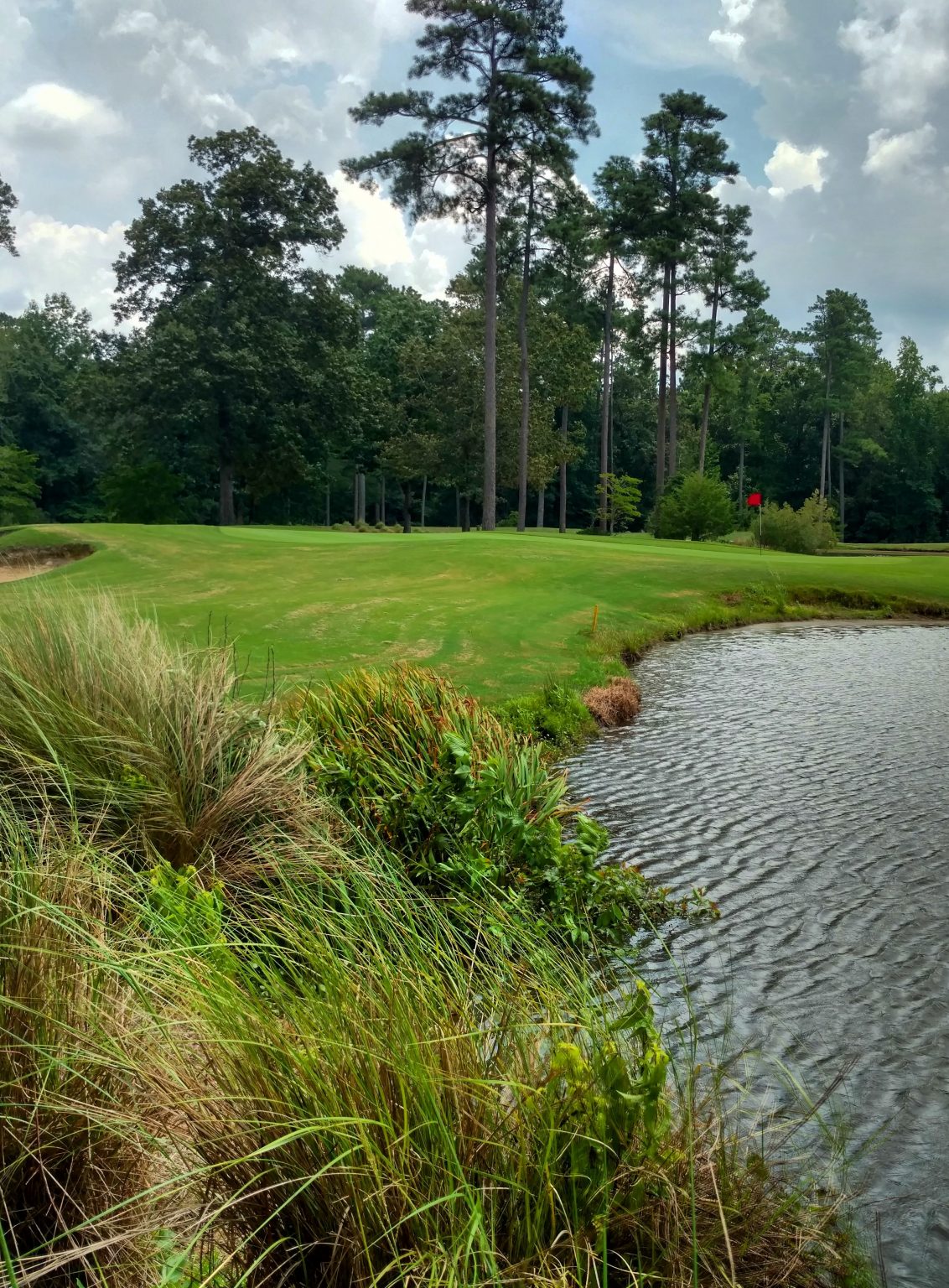 at Puppy Creek Public Golf Course Near Fayetteville, NC