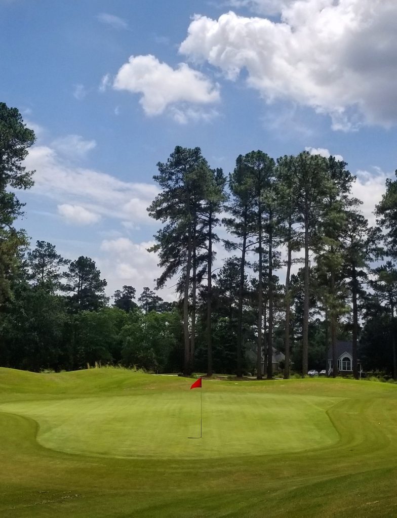 at Puppy Creek Public Golf Course Near Fayetteville, NC