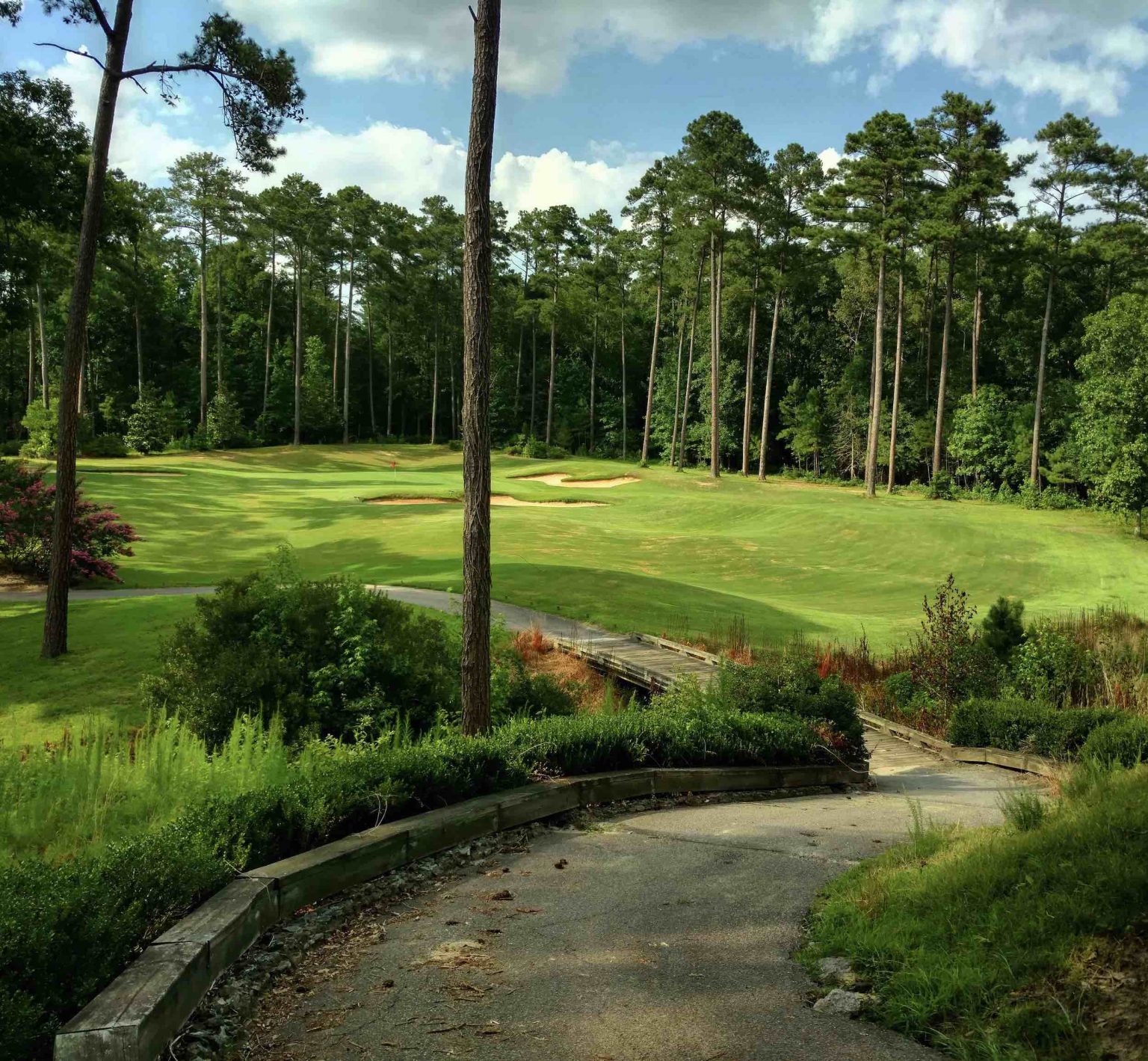 at Puppy Creek Public Golf Course Near Fayetteville, NC