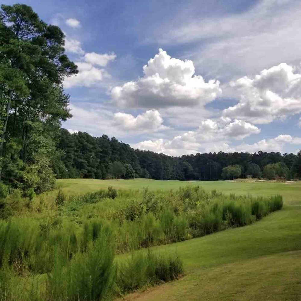 at Puppy Creek Public Golf Course Near Fayetteville, NC