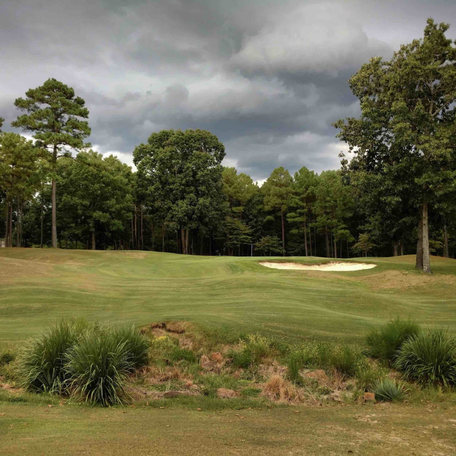 at Puppy Creek Fayetteville Golf Fayetteville Golf Course